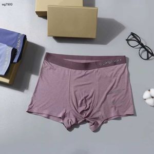 Designer men underwear fashionable and sexy logo underwear brand silky breathable underwear men clothing three pairs in a box Nov22