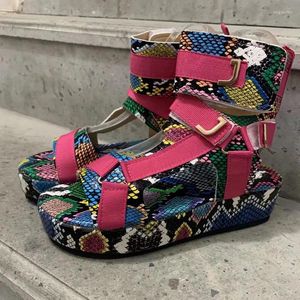 Sapatos de vestido Mulheres Gladiador Sandálias Senhoras Plataforma Plana Mulher Colorida Casual Praia Verão Grande Tamanho 43 Zapatos Mujer