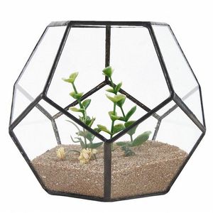 ブラックガラスペンタゴン幾何学テラリウムコンテナ窓枠装飾植木鉢バルコニープランターDIYディスプレイボックス植物T2001042489なし