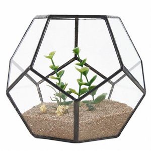 Black Glass Pentagon Geometric Terrarium Container Window Sill Decor Flower Pot Balcony Planter Diy Display Box Y200723233a