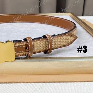 Premium Fashion Straw Woven 2.5Cm Width Women's Belt For Women Belts With Box Christmas Gift
