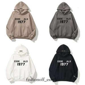 Men's Loose Tracksuits Luxury Sweatshirts Hoodie Designer Ess Sweatshirt Sportswear Hooded Jackets Men Women Round Neck Pullover Sweater 243 513 888