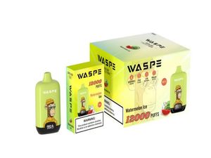 França Itália Espanha Hungria vape atacadista waspe 12000 puffs vapor kit puff 10K 12K função de fluxo de ar RGB executando personalizado ecig pod pen vaper