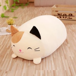 Plush Dolls 2028cm الحيوانات الناعمة Cartoon Cat Catsion وسادة جميلة أرنب محشو الكلب Totoro خنزير الضفدع هدية يوم الولادة 230421