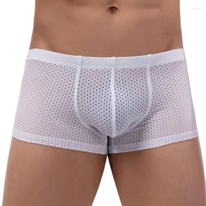 Underbyxor smart-menmode underkläder herrboxare underkläder mesh ihåliga sexiga trosor transparent penispåse boxare shorts