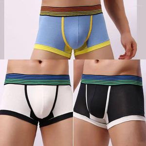 Underpants Youth Convex Pouch Underwear For Men Fashion Modal Cotton Boxer Shorts Sexy Breathable Color Matching Bottoms Panties