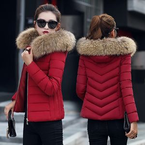 Женская зимняя куртка, хлопковое пальто, парки, короткие, тонкие, с подкладкой, корейский, с меховым воротником, теплые повседневные женские 231122