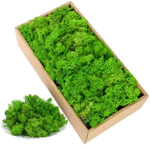 Decorative Flowers Wreaths 40g Simulation Artificial Moss Green Eternal Life Grass Fake Plant For Home Wall Decor Garden Micro Landscape Material Gift 230422