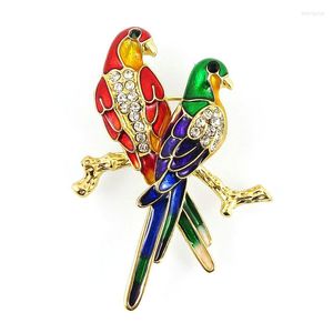 Broschen Brosche Vintage Pin Damenmode Strass Pins und für Vogel Tier Broches Buttons Schmuck Großhandel