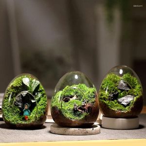 Vases Creative Clear Glass Egg-shaped Vase Hydroponic Fleshy Micro Landscape Terrarium Moss Flowerpot Container Home Decoration