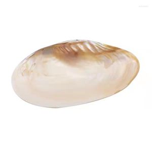 Charms Big Natural Shell For Pearl Party Show Large Sea Shells Home Decor Freshwater Oyster Pearls/Beads Container FP374