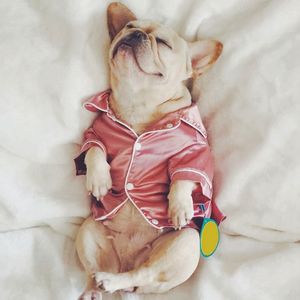 Hundkläder lyxiga husdjur pyjamas mjuk siden franska bulldogrockkläder för små s shih tzu valp kattkläder xs2xl 230422