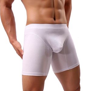 Men's Sexy Lingerie Cotton Boxer Shorts Fetish Sissy Gay Bikini Panties Erotic T-shaped Underwear