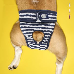 Abbigliamento per cani Pantaloncini femminili Mutandine Mestruazioni Intimo Slip Tuta Pet Pantalone fisiologico Pannolino sanitario Lavabile 230422