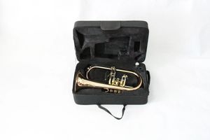 Bb Standard Trumpets for Beginner or Advanced Student Brass Trumpet Instrument with 7C Mouthpiece Hard Case Polishing Cloth