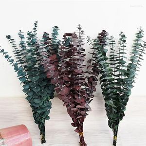 Decoratieve Bloemen Natuurlijke Eucalyptus Bladeren Takken Stengels Gedroogde Bloem Echte Palnt Ornament Voor Diy Nordic Thuis Muur Feestdecoratie