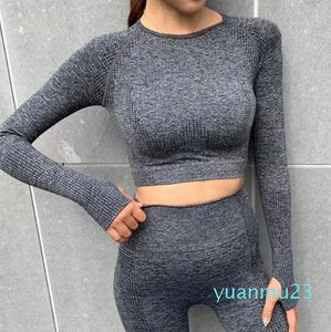 Roupas de yoga feminina sem costura camisa de yoga topo de colheita de manga comprida feminino yoga exercício roupas de fitness esportes topo moletom