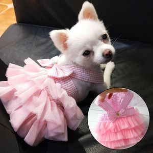 Odzież dla psów letnia sukienka kot koronkowa spódnica odzież dla zwierząt Chihuahua Stripe Puppy Princess śliczne akcesoria do odzieży 230422