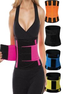 PS Storlek Bästa midjetränare för kvinnor Bastu Svett Thermo Cincher under korsett Yoga Sport Shaper Belt Slim Workout Midje Support2231645