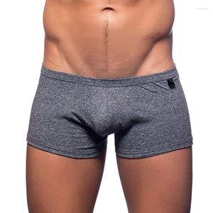 Unterhose 2023 Baumwolle Sexy Männer Unterwäsche Boxer Mode Shorts Beutel Weiche Bequeme Männliche Boxer Hohe Elastische Lässige