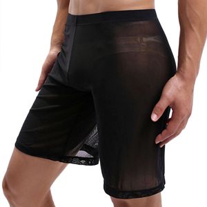 Homens sexy shorts ver através de malha bottoms transparente cuecas masculinas lingerie exótica respirável tronco fetiche calças translúcidas