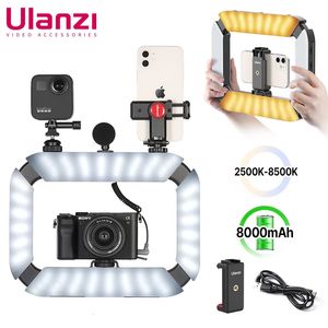 Other AV Accessories Ulanzi U200 U-200 Smartphone Video Rig LED Video Light 2 in 1 Ring Light Cold Shoe for Microphone Tiktok Live Rig Light 231123