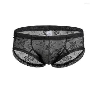 Underpants Men's Lace Roufe