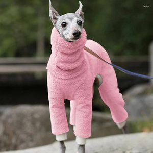 Abbigliamento per cani Moda Soild Levriero Doberman Cappotto Pet Inverno Pile Dolcevita Gilet Giacca Whippet Gree Maglione Vestiti caldi