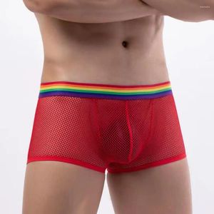 Mutande Intimo sexy Boxer Pantaloncini da uomo Maglia Arcobaleno Cintura Traspirante Prospettiva Gamba piatta Pantaloni quadrangolari