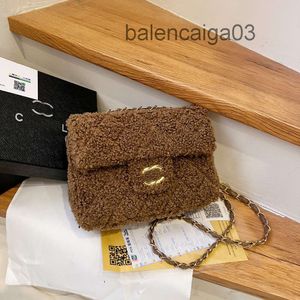 Bolsa Designer CC Bolsa Bolsas Praia Crossbody A Tote Bolsa De Ombro Luxurys Marcas De Moda Homem Mulher Messenger Maquiagem Marrom Cordeiro Cabelo Quadrado Chubby Bag