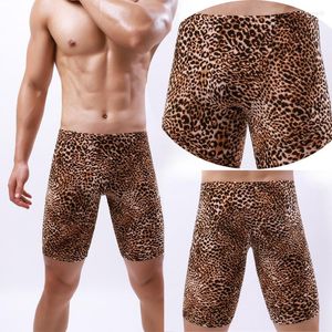 Underbyxor Mens underkläder Tätt passande långsträckta boxare Leopardtryck Sweatpants Halvlängda byxor