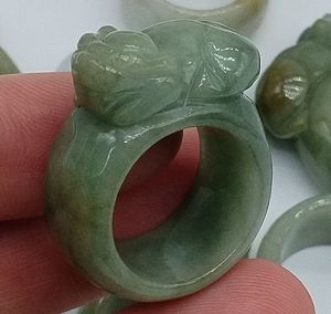 Certified Green Natural Type A Jadeite Carved Dragon Pi Xiu Ring Inner 19.00mm