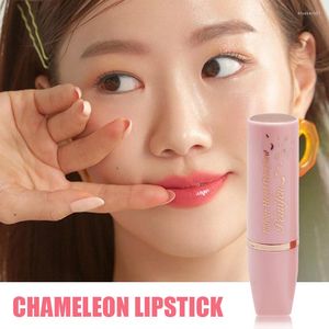 Nail Gel 3 Colors Lipstick Velvety Set Long Lasting Nonstick Cup Not Fade Makeup Cosmetics Kit For Girl Women