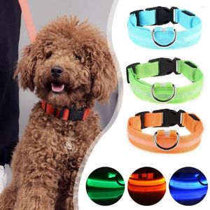 Dog Collars LED Luminous Collar Rechargeable Waterproof Adjustable Pet Supplies Glow