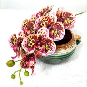 Symulacja kwiat Nowe samopoczucie siedmiogłowe małe orchidea phalaenopsis Fałszywe kwiat ślubny krajobraz domowy Dekoria fotografii dekoracje ogrodnicze dekoracje ogrodnictwa