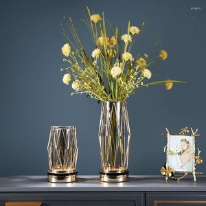 Vaser Dekorativt bord Vase Luxury Terrarium Design Funky Plant Nordic Style Original POTS de Fleurs Interior Decoration For Home