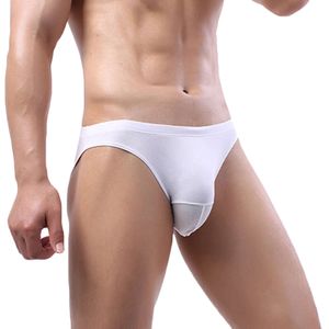 Men S Sexy Mesh Underwear Low Rise Bag Briefs Boyfriend Contrast Lingerie Fetish Sissy Gay Bikini