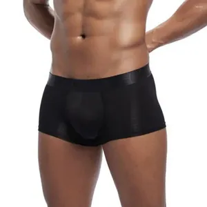 Cuecas Mens Underwear Boxers Modal Sexy Bikini Jockstrap Briefs Lingerie Homem Pantines para Homens