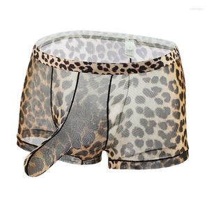 Mutande Intimo da uomo Gioventù traspirante Maglia leopardata Boxer sexy da uomo Pene