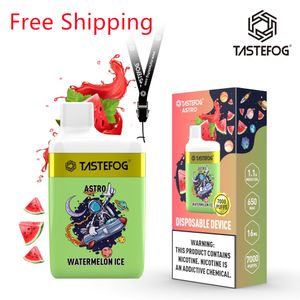 Wholesale Disposable Vape Electronic Vaporizer with Tastefog Astro 7000 Puffs