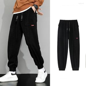 Męskie spodnie jesienne zimowi mężczyźni harem hip hop na zewnątrz workowate workowate jogging mody streetwear grube spodnie męskie 2023