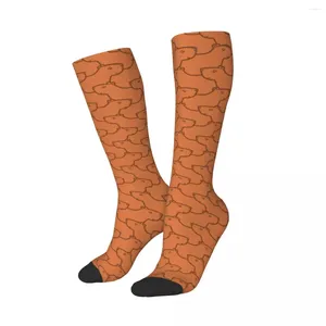 Мужские носки коричневые с рисунком капибары длиной до икры, теплые повседневные длинные с изображением животных из Южной Африки