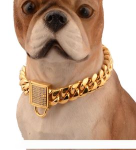 En kaliteli evcil köpek zincirleri Dayanıklı kalınlık altın paslanmaz eğitim Yürüyüş zinciri yakalar metal güçlü köpek Pet Tasarlar Köpek yavrusu Supp5332448