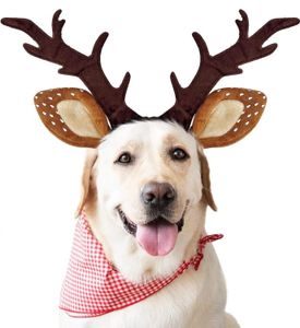 Hundkläder Dog Cat Christmas Reindeer Antlers pannband Klassisk Justerbar älghatt Huvudbonad Pet Deer Cospaly Costumes Tillbehör 231124