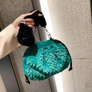 Evening Bags Plush Fur Shoulder Bag Winter Fashion Women's 2023 Small Tote Female Handbags And Purses Travel Bucket