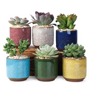 Vaso de flores de cerâmica rachado, vaso de flores colorido fofo para decoração de mesa, vasos de plantas em carne, mini plantadores, pote ted