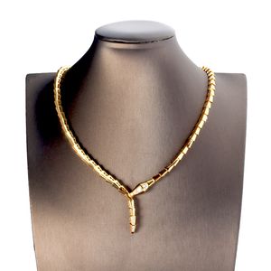 Diamanten Silber Gold Halsband Anhänger lange Halsketten für Frauen trendige Schlange Luxus-Designer-Schmuck Party Mutter Weihnachten Hochzeitsgeschenke Damen Mädchen Bankettverkauf