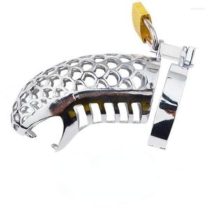 Gymkläder Män Chasity Cage Underwear Creative Snake Head Lock Key Ring 304 Metal Rostfritt stål Birl Muskel Övning Vuxen Fitness