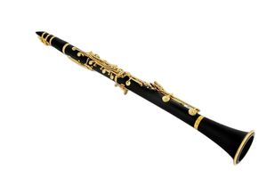 Ny ankomst B Flat Clarinet Bakelite Wood Professional Woodwind Instruments med högkvalitativ timbre CAYS-tillbehör