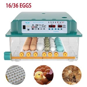 Produkter 16/36 ägg helautomatiska inkubator Broder Hatchery Inkubator Turner Hushåll Farm Hatcher Machine Goose Quail Chicken Eggs